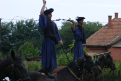 DSCF1952