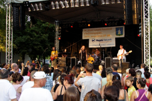 2011