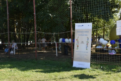 feszt2019005