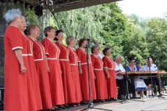feszt2019016