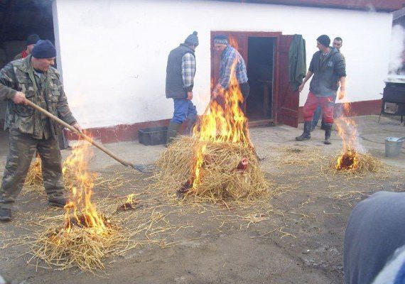 Disznóvágás és mulatság a farsang jegyében Körösszegapátiban