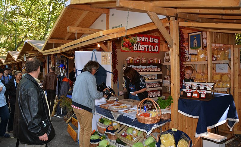 kiallitas017